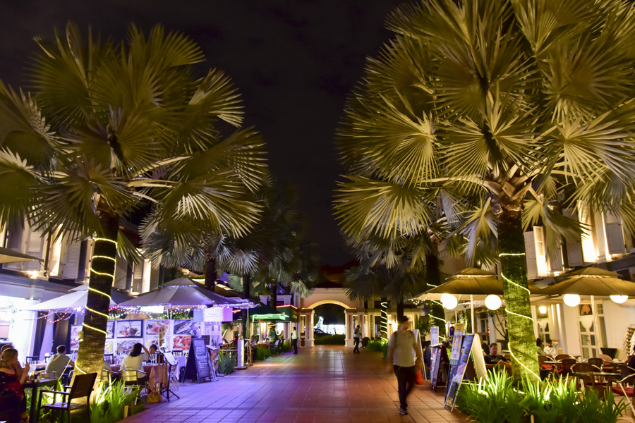 DSC_2130.JPG DSC_2130.JPG