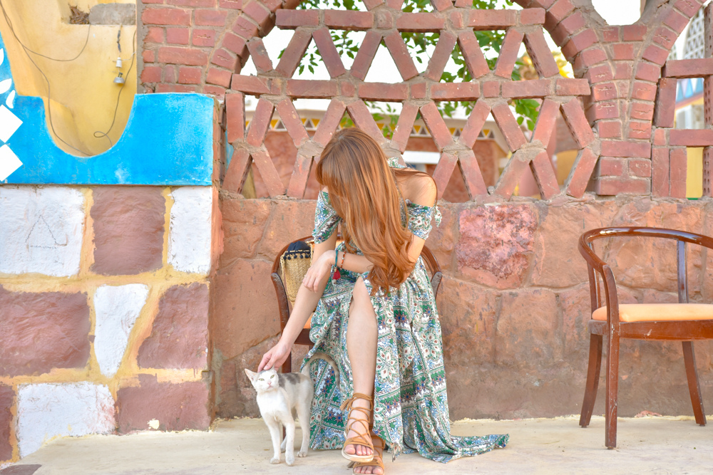 _DSC6702.JPG _DSC6702.JPG