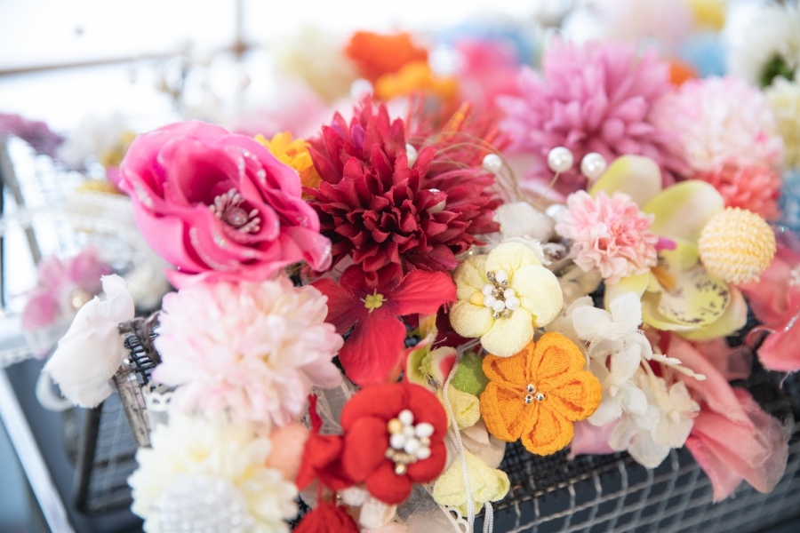 DSC_1213.jpg DSC_1213.jpg