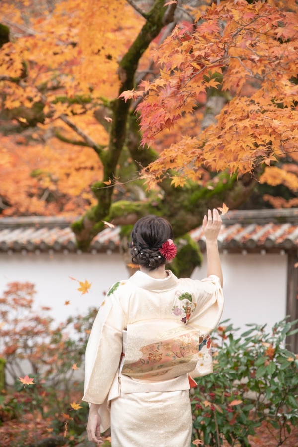 DSC_1422.jpg DSC_1422.jpg