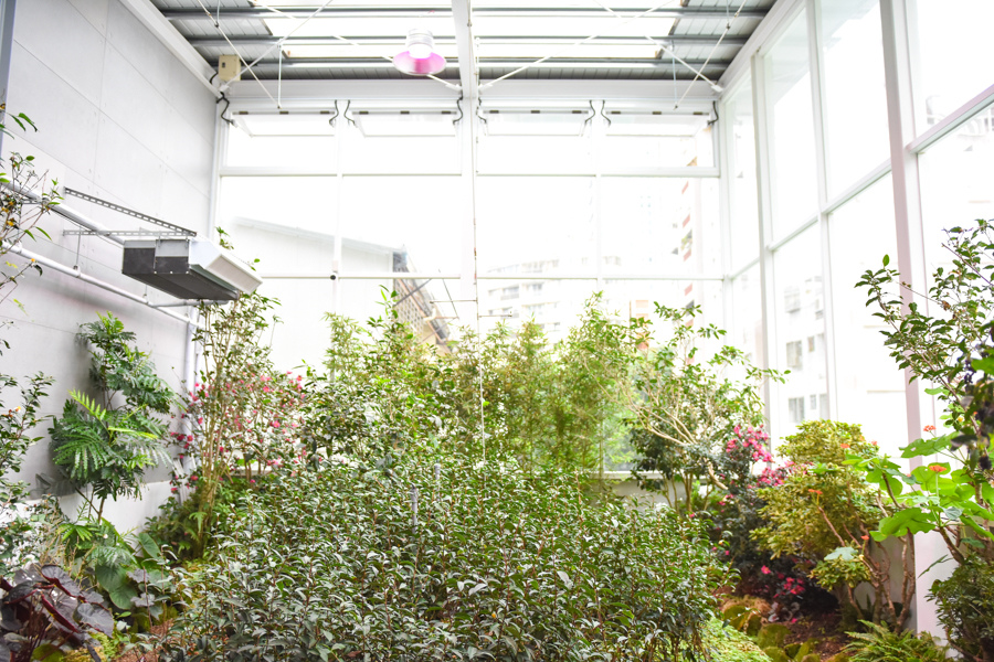 DSC_0160.jpg DSC_0160.jpg