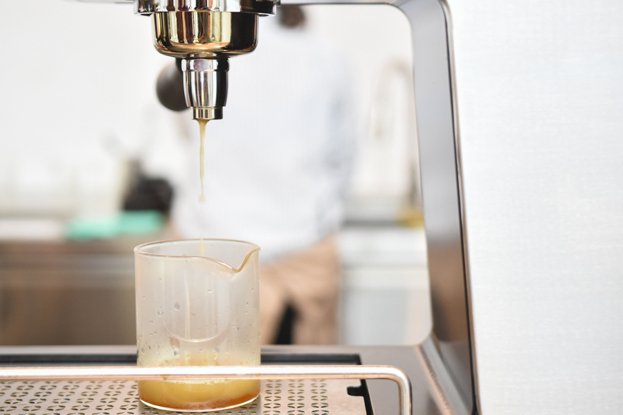 DSC_0196.jpg DSC_0196.jpg