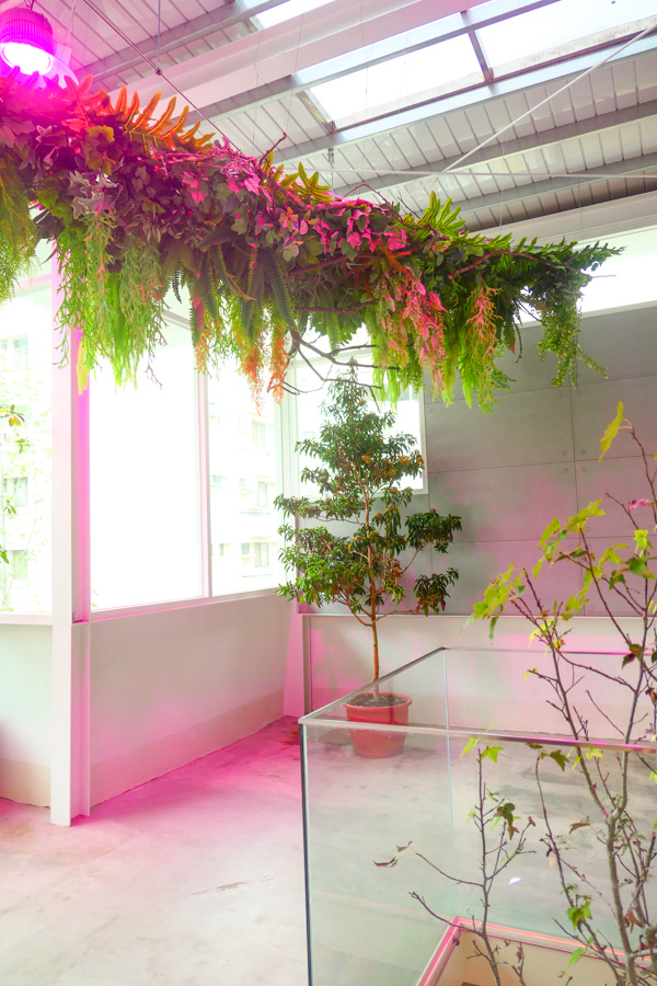 P1240827.jpg P1240827.jpg