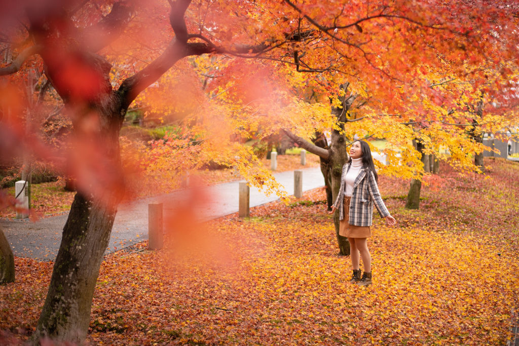 DSC_3404.jpg DSC_3404.jpg