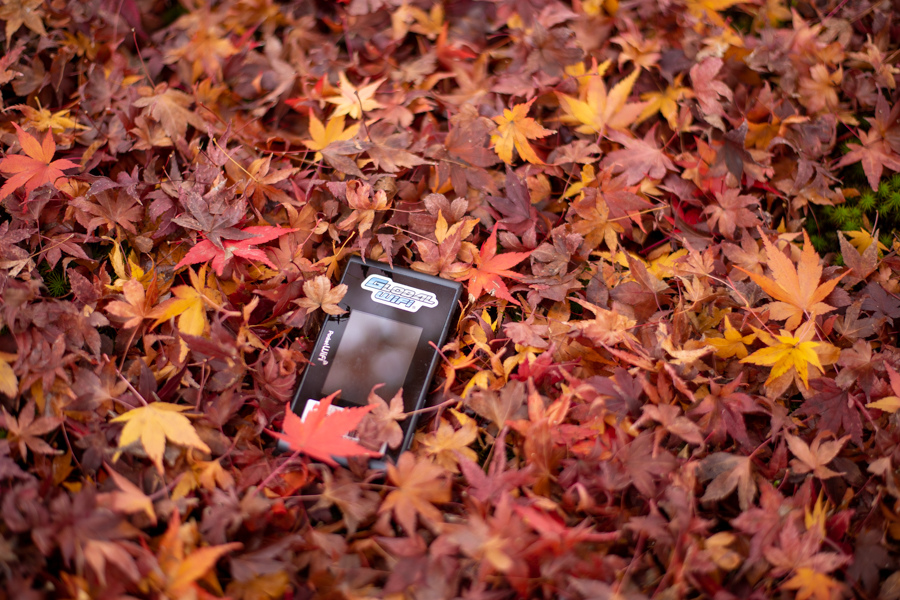 DSC_3432.jpg DSC_3432.jpg