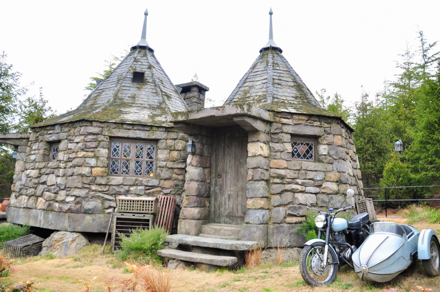 _DSC0017.jpg _DSC0017.jpg