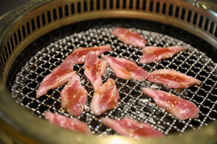 DSC_0342.jpg DSC_0342.jpg