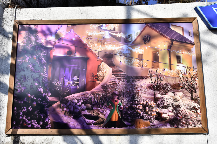 _DSC4622.jpg _DSC4622.jpg