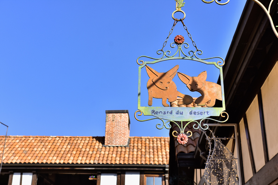 _DSC4666.jpg _DSC4666.jpg