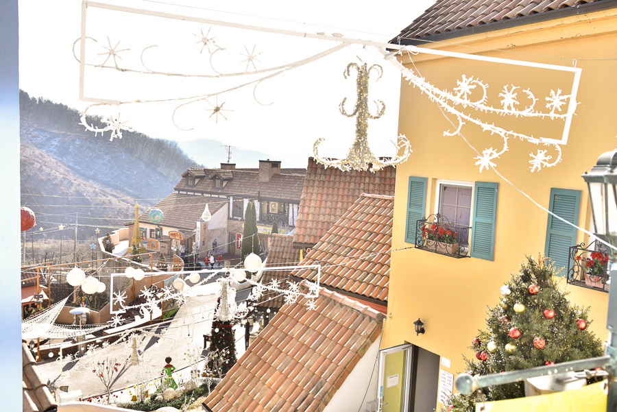 _DSC4731.jpg _DSC4731.jpg