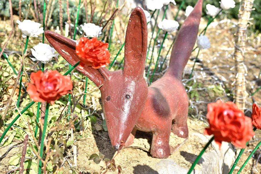 _DSC4746.jpg _DSC4746.jpg