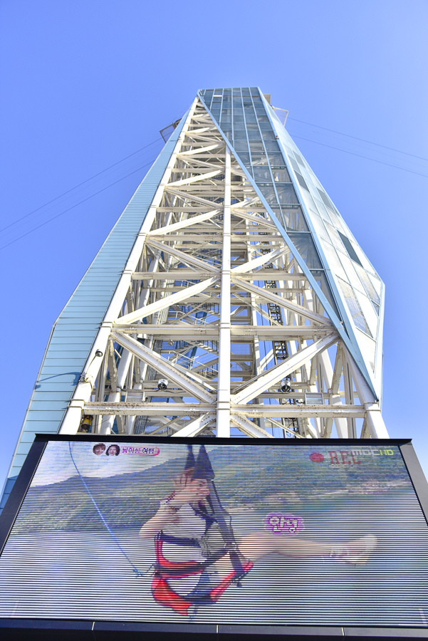 _DSC4785.jpg _DSC4785.jpg