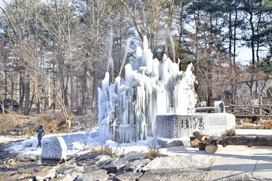 _DSC4804.jpg _DSC4804.jpg