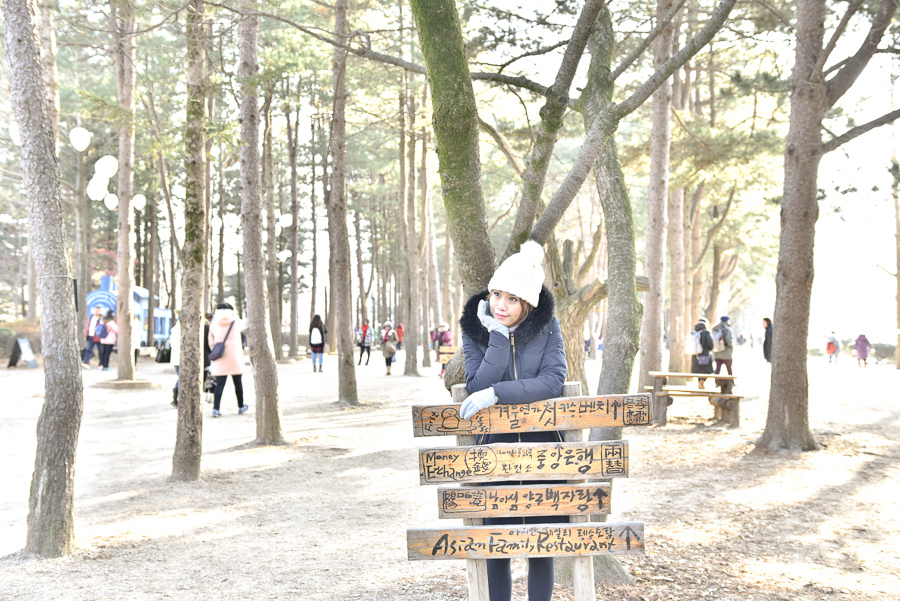 _DSC4834.jpg _DSC4834.jpg