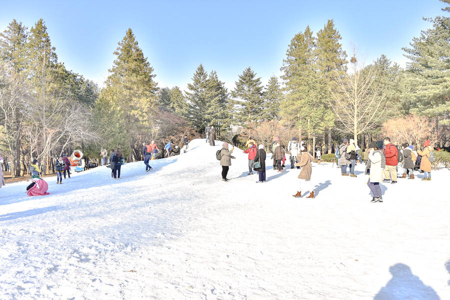 _DSC4915.jpg _DSC4915.jpg