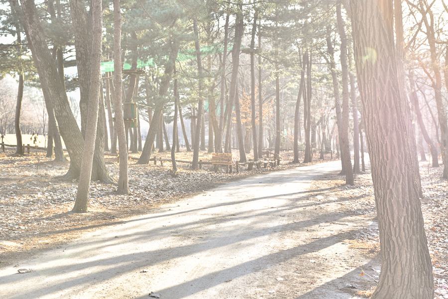 _DSC4943.jpg _DSC4943.jpg