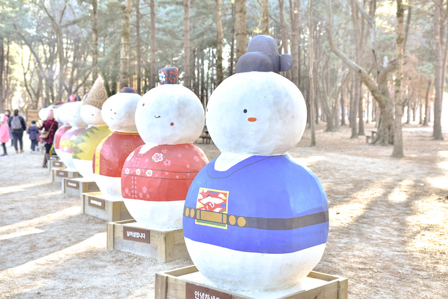 _DSC4948.jpg _DSC4948.jpg