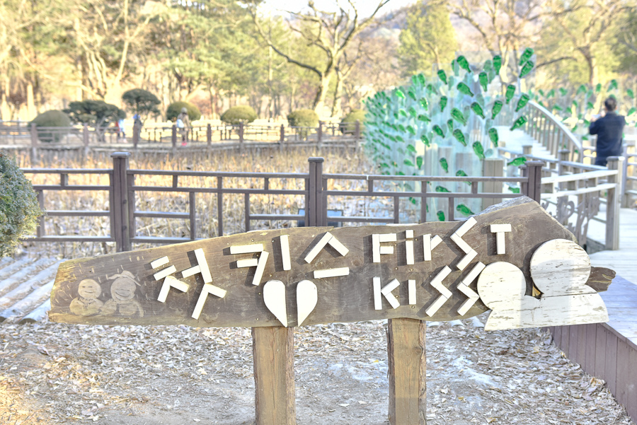 _DSC4958.jpg _DSC4958.jpg