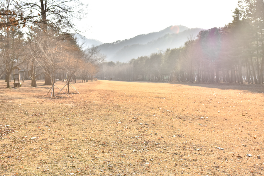 _DSC4931.jpg _DSC4931.jpg