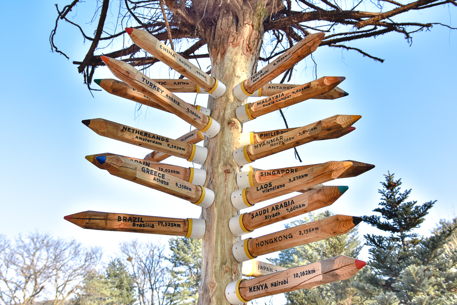 _DSC4977.jpg _DSC4977.jpg