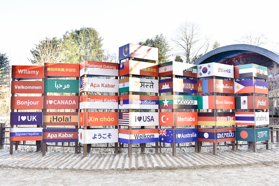 _DSC4974.jpg _DSC4974.jpg