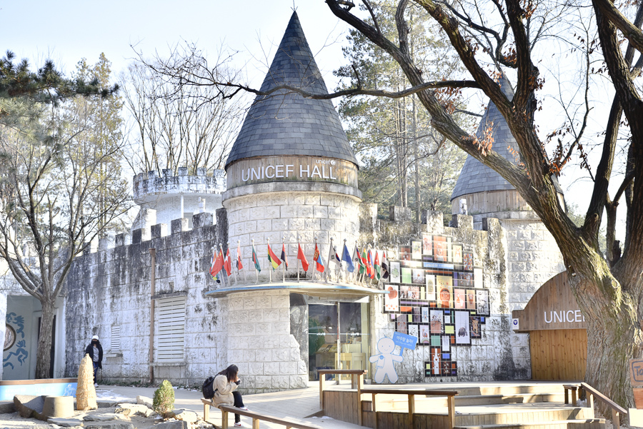 _DSC4980.jpg _DSC4980.jpg