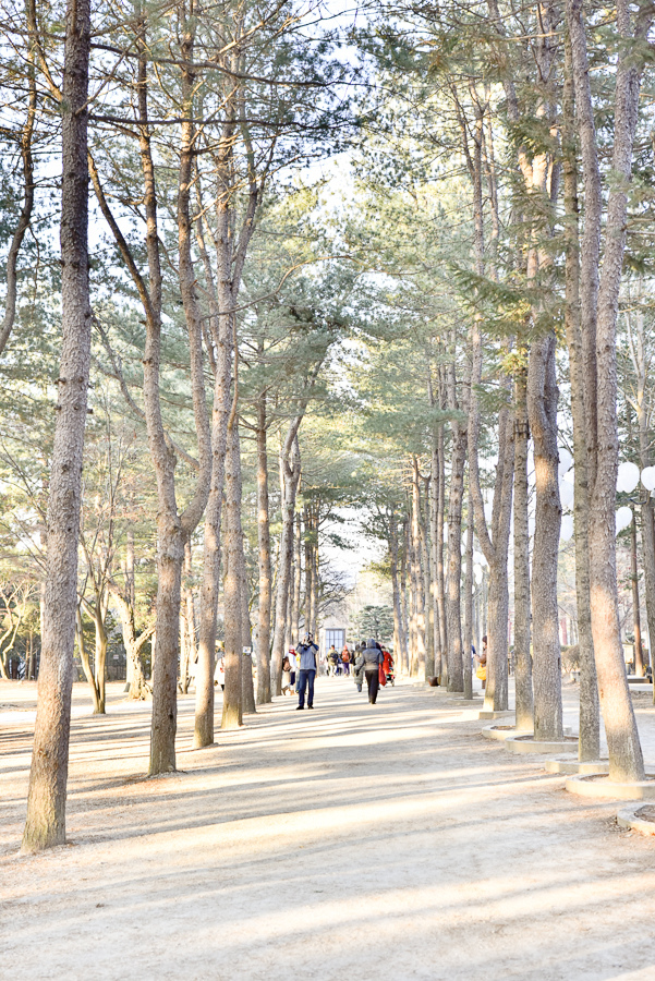 _DSC4999.jpg _DSC4999.jpg