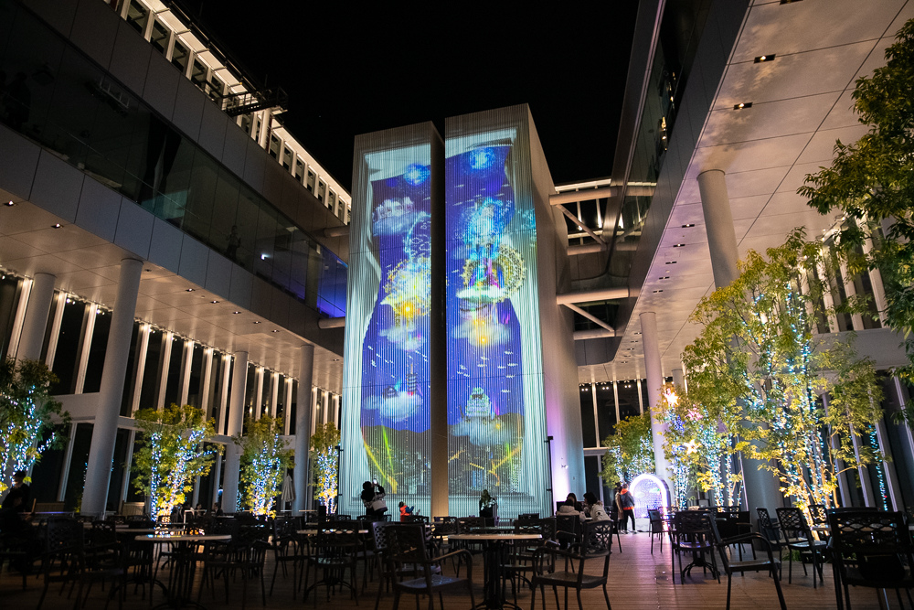 DSC_4291.jpg DSC_4291.jpg