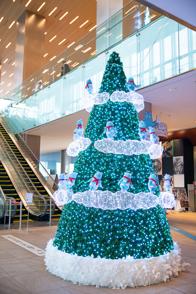 DSC_4122.jpg DSC_4122.jpg