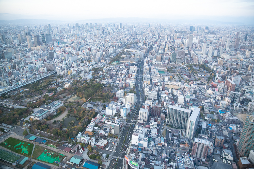 DSC_4131.jpg DSC_4131.jpg