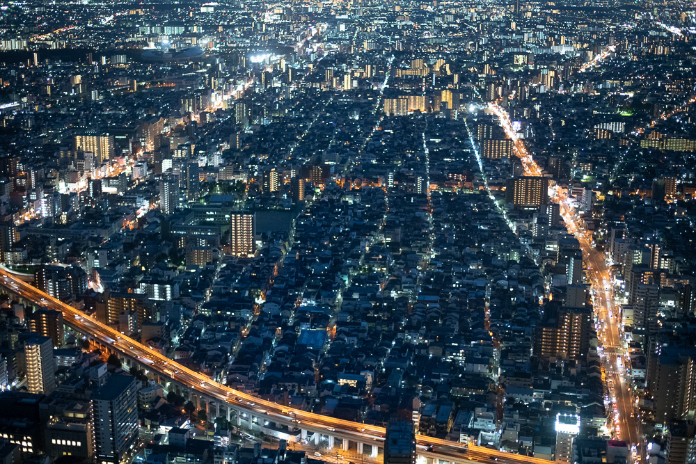 DSC_4202.jpg DSC_4202.jpg