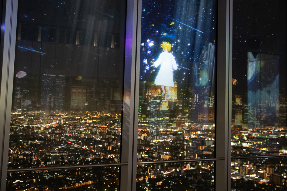 DSC_4277.jpg DSC_4277.jpg