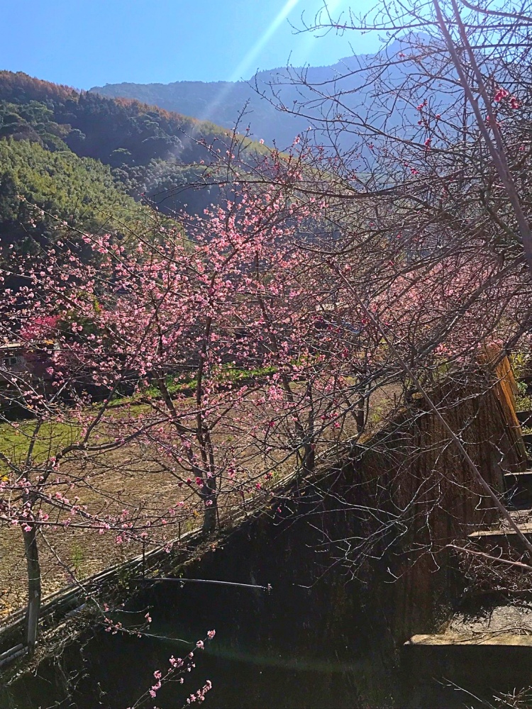 S__7782469.jpg S__7782469.jpg