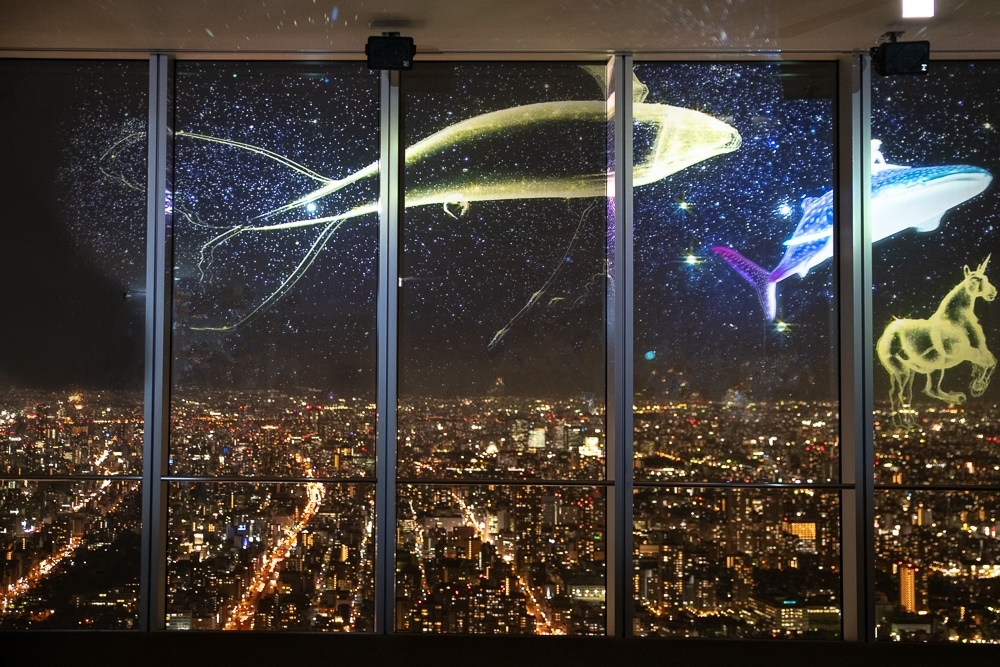 DSC_4231-1.jpg DSC_4231-1.jpg