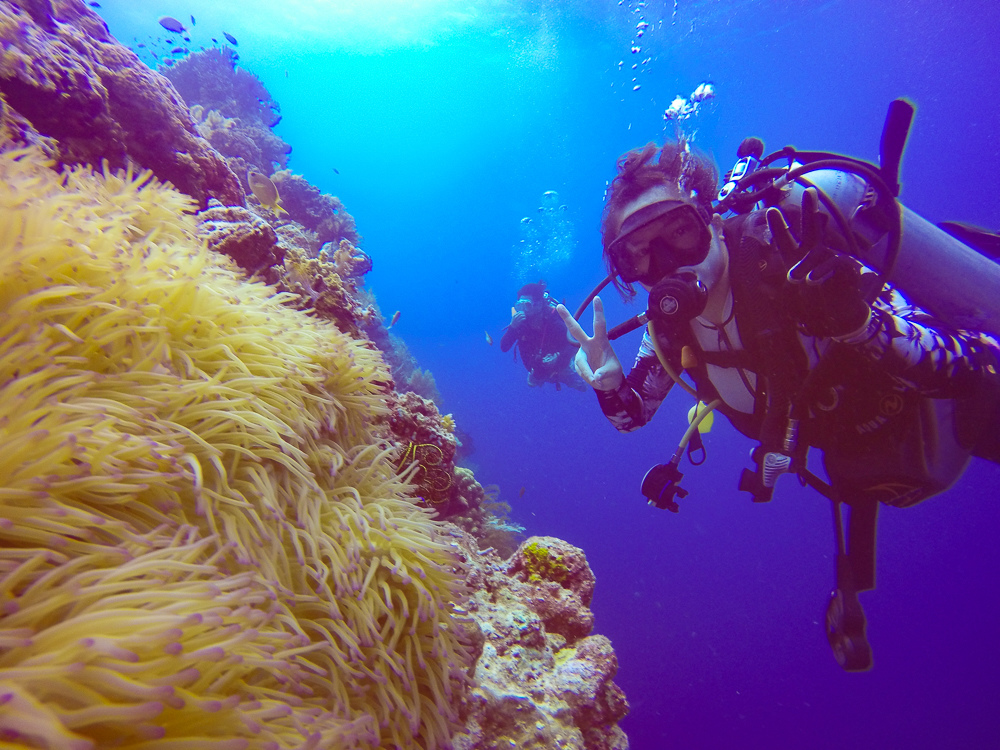 G0014947.jpg G0014947.jpg