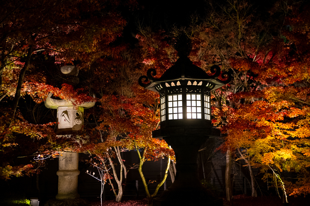 日本 京都賞楓 永觀堂禪林寺 京都夜楓首選 放生池絕美紅葉倒影 Pengu 說真的 痞客邦