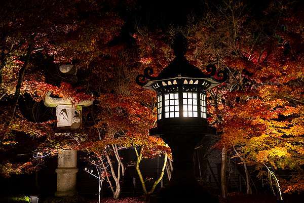 日本 京都賞楓 永觀堂禪林寺 京都夜楓首選 放生池絕美紅葉倒影 Pengu 說真的 痞客邦