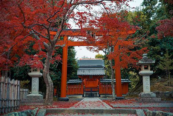 日本 京都賞楓 天龍寺 曹源池庭院嵐山景點 世界文化遺產 Pengu 說真的 痞客邦 日本 京都賞楓 天龍寺 曹源池庭院嵐山景點 世界文化遺產 Pengu 說真的 痞客邦