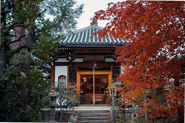 日本 京都賞楓 天龍寺 曹源池庭院嵐山景點 世界文化遺產 Pengu 說真的 痞客邦 日本 京都賞楓 天龍寺 曹源池庭院嵐山景點 世界文化遺產 Pengu 說真的 痞客邦