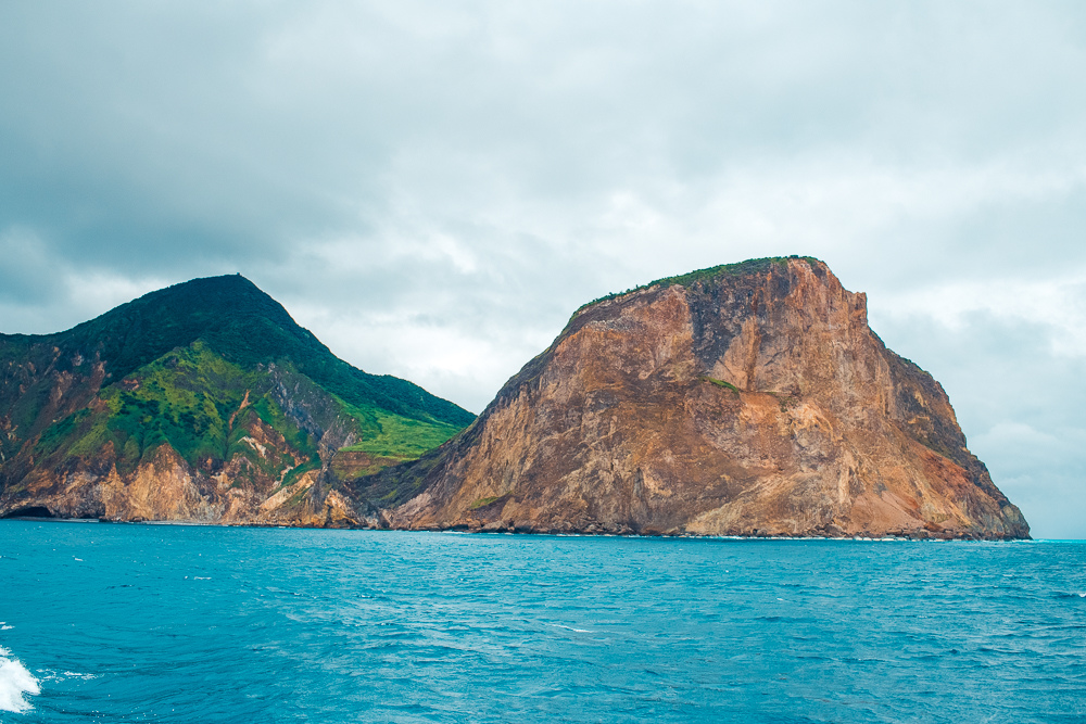 龜山島賞鯨