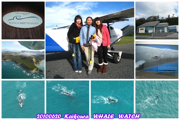 20100620 Kaikoura Whale Watch.jpg