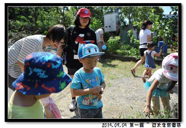 DSC_4156.jpg DSC_4156.jpg