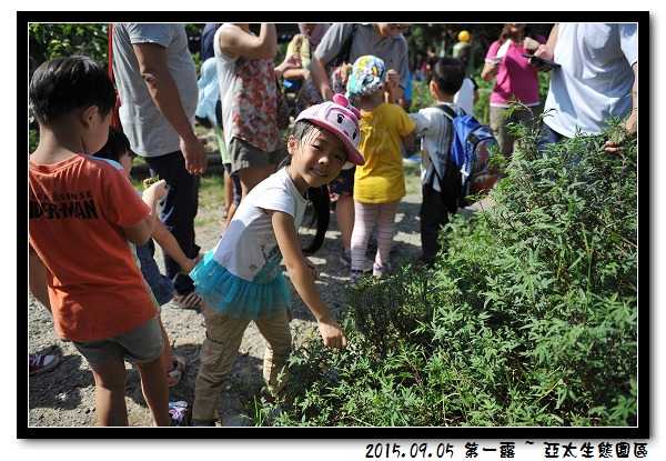 DSC_4155.jpg DSC_4155.jpg