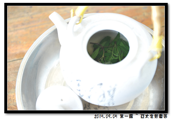 DSC_4162.jpg DSC_4162.jpg