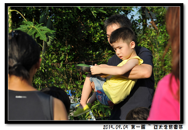 DSC_4399.jpg DSC_4399.jpg