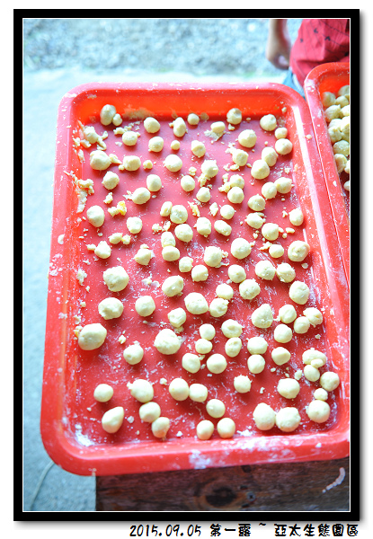 DSC_4454.jpg DSC_4454.jpg