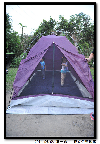 DSC_4528.jpg DSC_4528.jpg