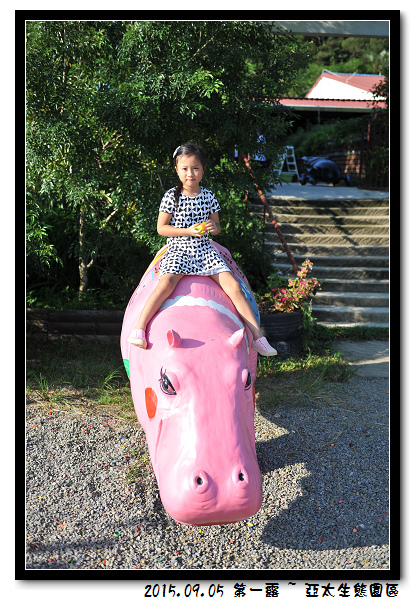 DSC_4663.jpg DSC_4663.jpg