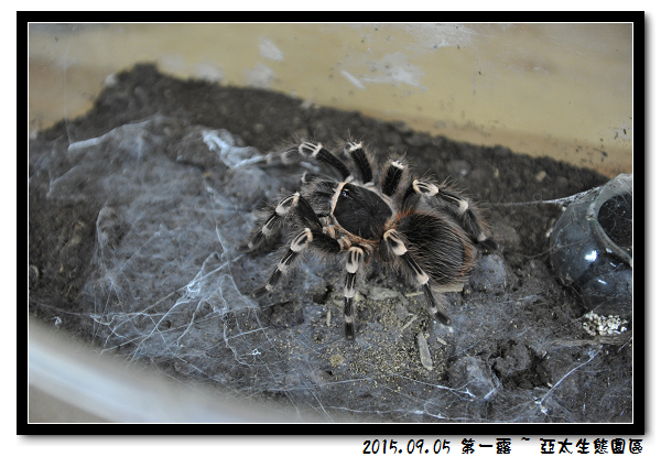 DSC_4856.jpg DSC_4856.jpg