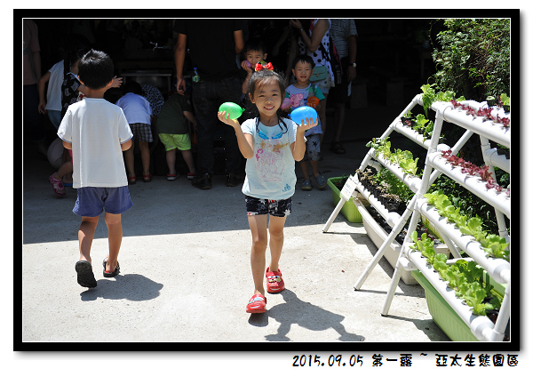 DSC_4900.jpg DSC_4900.jpg